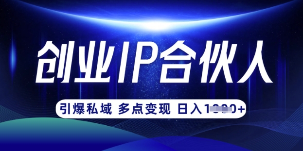 云帆·创业ip合伙人打造3.0，从0到1教你做网创，实现月入过W_菜菜笔记