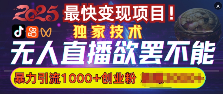 欲罢不能的无人直播引流，超暴力日引流1000+高质量精准创业粉_菜菜笔记