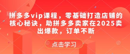 拼多多vip课程，零基础打造店铺的核心秘诀，助拼多多卖家在2025卖出爆款，订单不断_菜菜笔记