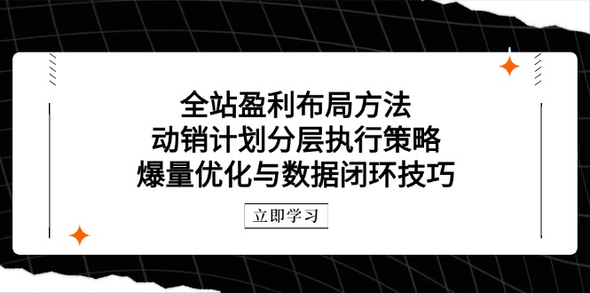 全站盈利布局方法：动销计划分层执行策略，爆量优化与数据闭环技巧_菜菜笔记
