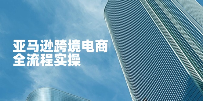 亚马逊跨境电商全流程实操，教你从零开始，掌握店铺运营与广告技巧_菜菜笔记