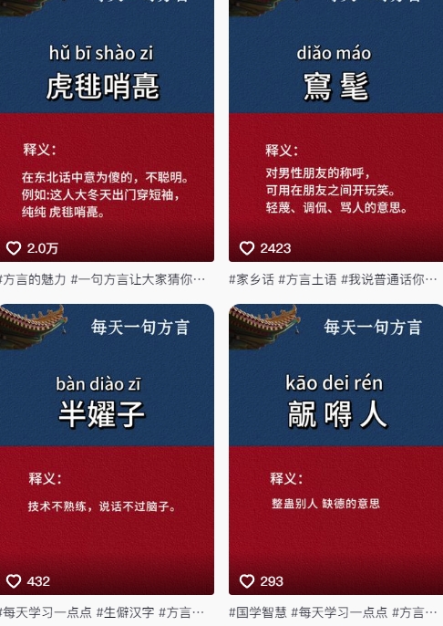 抖音最新涨粉玩法，图文方言暴力涨粉实操，126作品涨粉11W_菜菜笔记