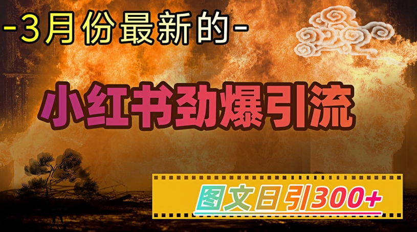 小红书超劲爆引流手段，图文日引300+轻松变现1W_菜菜笔记