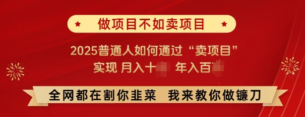 必看，做项目不如卖项目，2025普通人如何通过“卖项目”实现月入十个，年入百个_菜菜笔记