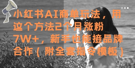 小红书AI商单玩法，用这个方法2个月涨粉7W+，新手也能接品牌合作(附全套指令模板)_菜菜笔记