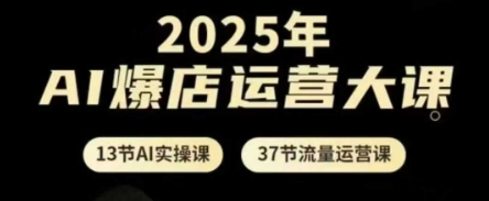 2025年AI爆店运营大课，13节AI实操课+37节流量运营课_菜菜笔记