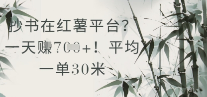 抄书在小红薯平台？平均一单30米，一天收益几张！_菜菜笔记
