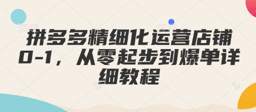 拼多多精细化运营店铺0-1，从零起步到爆单详细教程_菜菜笔记