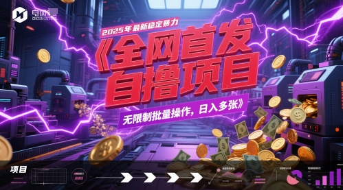 全网首发，2025年最新稳定暴力全自动自撸项目，无限制批量操作，日入多张【揭秘】_菜菜笔记