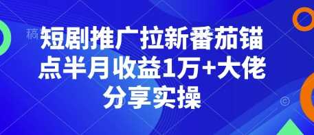 短剧推广拉新番茄锚点半月收益1万+大佬分享实操_菜菜笔记