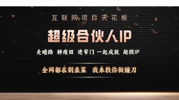 互联网项目天花板，超级合伙人IP，全网都在割韭菜，我来教你做镰刀【仅揭秘】_菜菜笔记