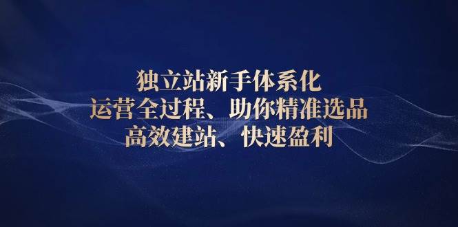 （13914期）独立站新手体系化 运营全过程，助你精准选品、高效建站、快速盈利_菜菜笔记