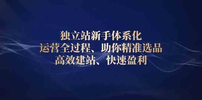 独立站新手体系化 运营全过程，助你精准选品、高效建站、快速盈利_菜菜笔记