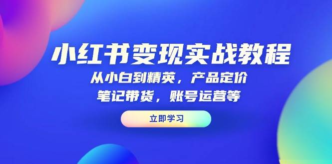 小红书变现实战教程：从小白到精英，产品定价，笔记带货，账号运营等_菜菜笔记