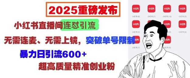 2025重磅发布：小红书直播间连怼引流，无需连麦、无需上镜，突破单号限制，暴力日引流600+_菜菜笔记