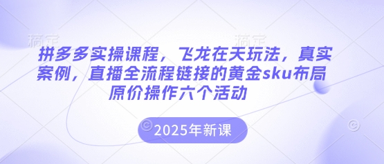 拼多多实操课程，飞龙在天玩法，真实案例，直播全流程链接的黄金sku布局原价操作六个活动_菜菜笔记