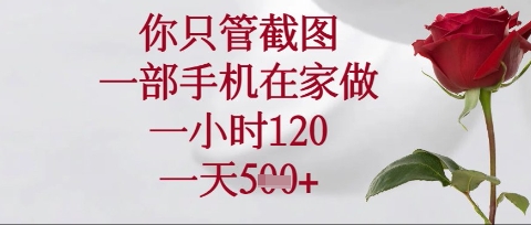 你只管截图，一部手机在家操作，一小时120.一天5张【揭秘】_菜菜笔记