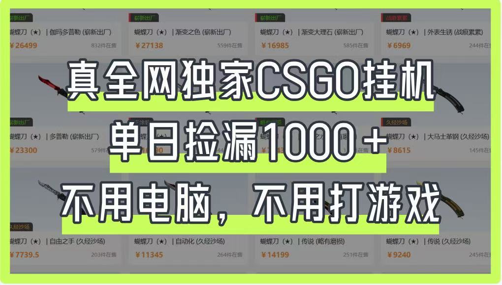 真全网独家CSGO挂机，单日捡漏1000+，不用电脑，不用养号_菜菜笔记