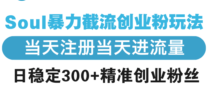 Soul暴力截流创业粉玩法，当天注册当天进流量，日稳定300+精准创业粉丝_菜菜笔记