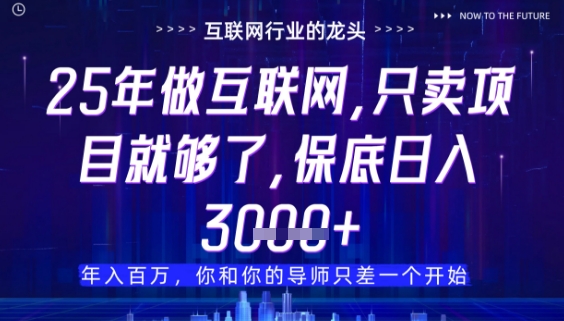 什么！25年你还在找项目做？风口早就变了，卖项目才是稳挣不赔【揭秘】_菜菜笔记