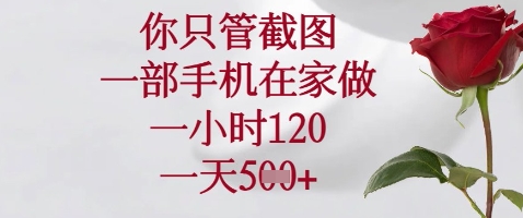 你只管截图，一部手机在家做，苹果安卓都可以，一小时120，一天5张+【揭秘】_菜菜笔记