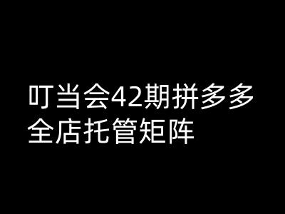 叮当会拼多多打爆班原创高阶技术第42期，拼多多全店托管矩阵_菜菜笔记