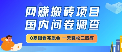 网创搬砖项目，国内问卷调查，小白轻松上手，一天三四张的也不难，干就完了【揭秘】_菜菜笔记