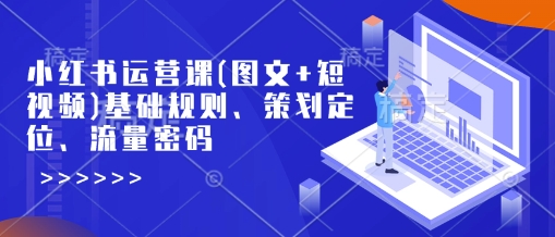 小红书运营课(图文+短视频)基础规则、策划定位、流量密码_菜菜笔记