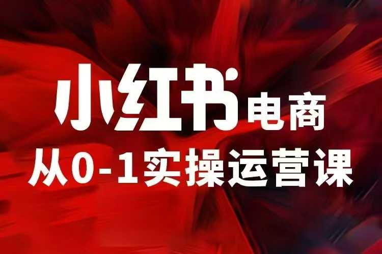 小红书电商运营，97节小红书vip内部课，带你实现小红书赚钱_菜菜笔记