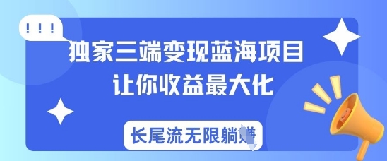 独家三端变现蓝海项目，让你收益最大化，长尾流无限躺挣_菜菜笔记