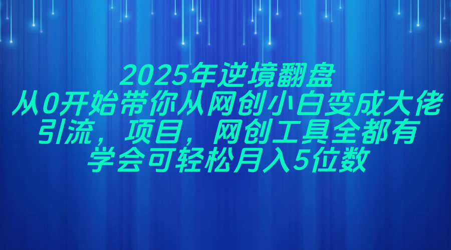 2025年逆境翻盘，从0开始带你从网创小白变成大佬，引流，项目，网创工…_菜菜笔记