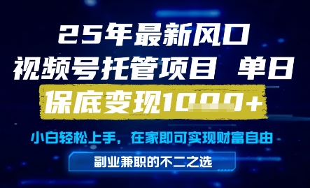 25年最新风口，视频号托管项目，单日保底变现1k+，手把手教学【揭秘】_菜菜笔记