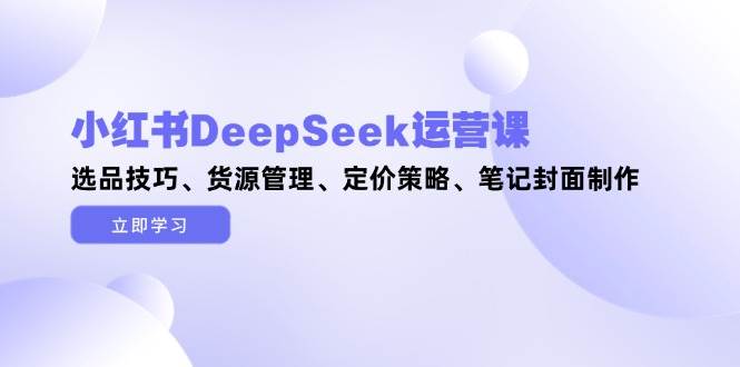 小红书DeepSeek运营课，选品技巧、货源管理、定价策略、笔记封面制作_菜菜笔记