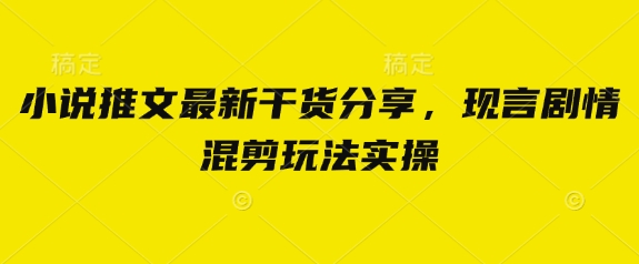 小说推文最新干货分享，现言剧情混剪玩法实操_菜菜笔记