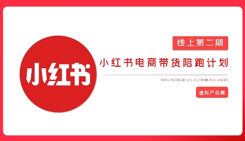 2025小红书虚拟电商实战课，从0到1打造无货源店铺，AI+爆款笔记轻松变现_菜菜笔记