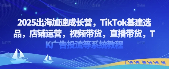 2025出海加速成长营，TikTok基建选品，店铺运营，视频带货，直播带货，TK广告投流等系统教程_菜菜笔记