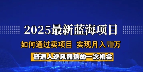 2025蓝海项目，普通人如何通过卖项目，实现月入过W，全过程【揭秘】_菜菜笔记