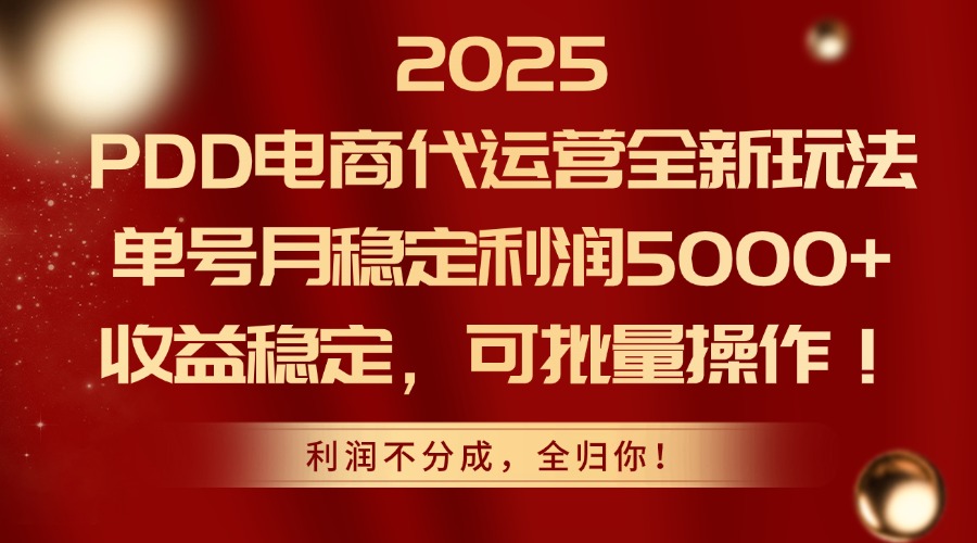 2025PDD电商代运营全新玩法，单号月稳定利润5000+，收益稳定，可批量操作_菜菜笔记
