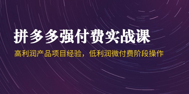 拼多多强付费实战课-44期，高利润产品项目经验，低利润微付费阶段操作_菜菜笔记
