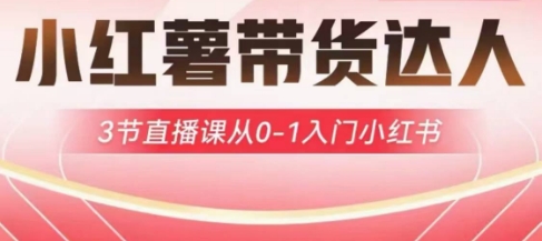 小红薯达人带货启航计划，3节直播课从0-1入门小红书_菜菜笔记