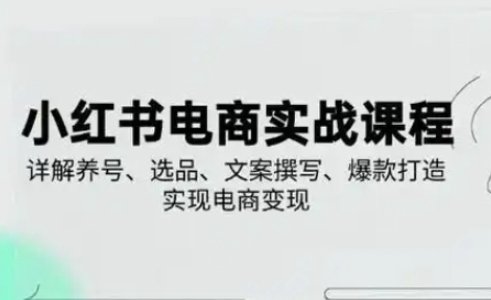 小红书从0-1实操课(2023-2025)，详解养号、选品、文案撰写、爆款打造实现电商变现_菜菜笔记