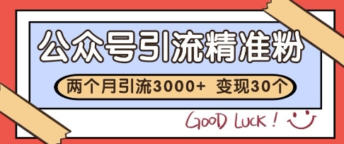 公众号精准粉引流玩法，2个月3000+精准粉，变现30个W【揭秘】_菜菜笔记
