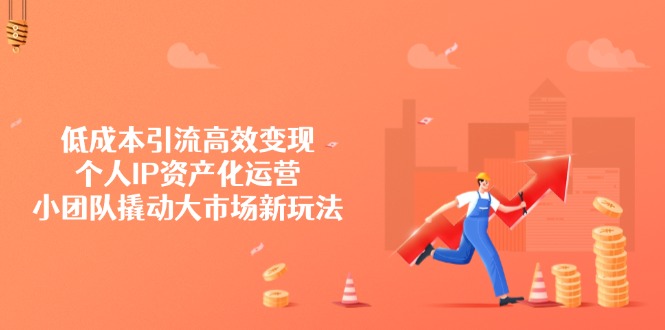 低成本引流高效变现，个人IP资产化运营，小团队撬动大市场新玩法_菜菜笔记