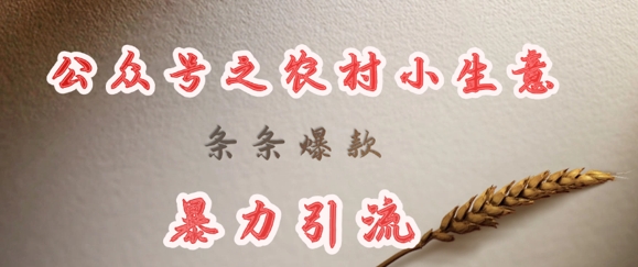 deepseek写农村小项目，条条爆款，暴力引流_菜菜笔记