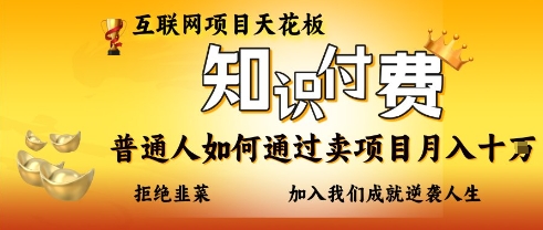 互联网项目天花板，知付付费项目，普通人如何通过卖项目月入十个，拒绝韭菜【揭秘】_菜菜笔记