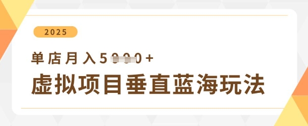 虚拟项目垂直玩法，实现单店月入5k+_菜菜笔记