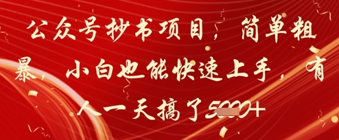 公众号抄书项目，简单粗暴，小白也能快速上手，有人一天搞了1k+_菜菜笔记