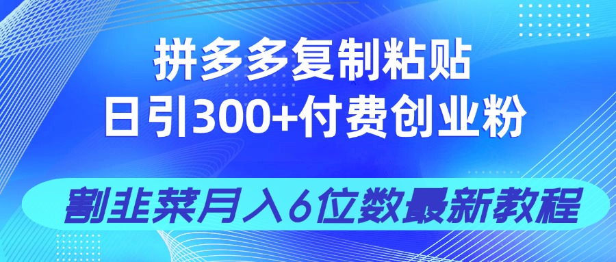 拼多多复制粘贴日引300+付费创业粉，割韭菜月入6位数最新教程！_菜菜笔记