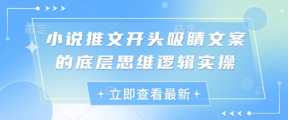 小说推文开头吸睛文案的底层思维逻辑实操_菜菜笔记