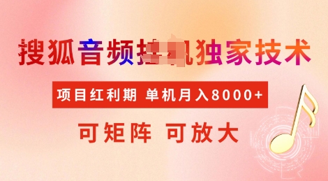 全网首发搜狐音频挂JI独家技术，项目红利期，可矩阵可放大，稳定月入8k【揭秘】_菜菜笔记